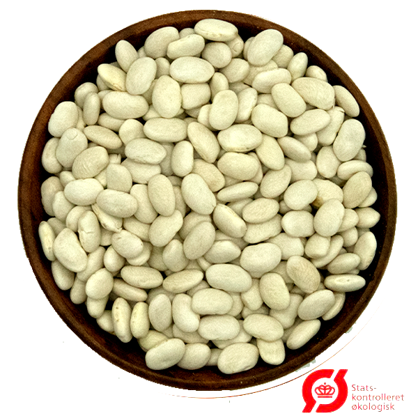 Økologiske Hvide Bønner (Great Northern Beans)