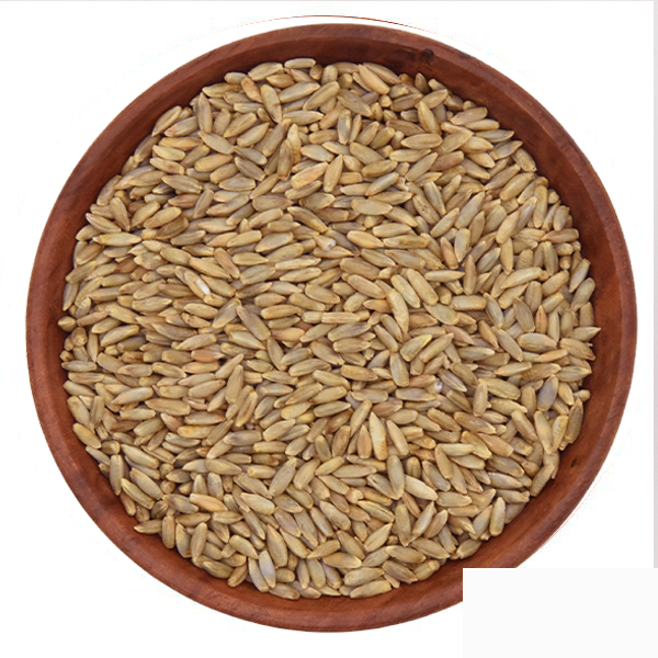 Økologiske rugrkerner.